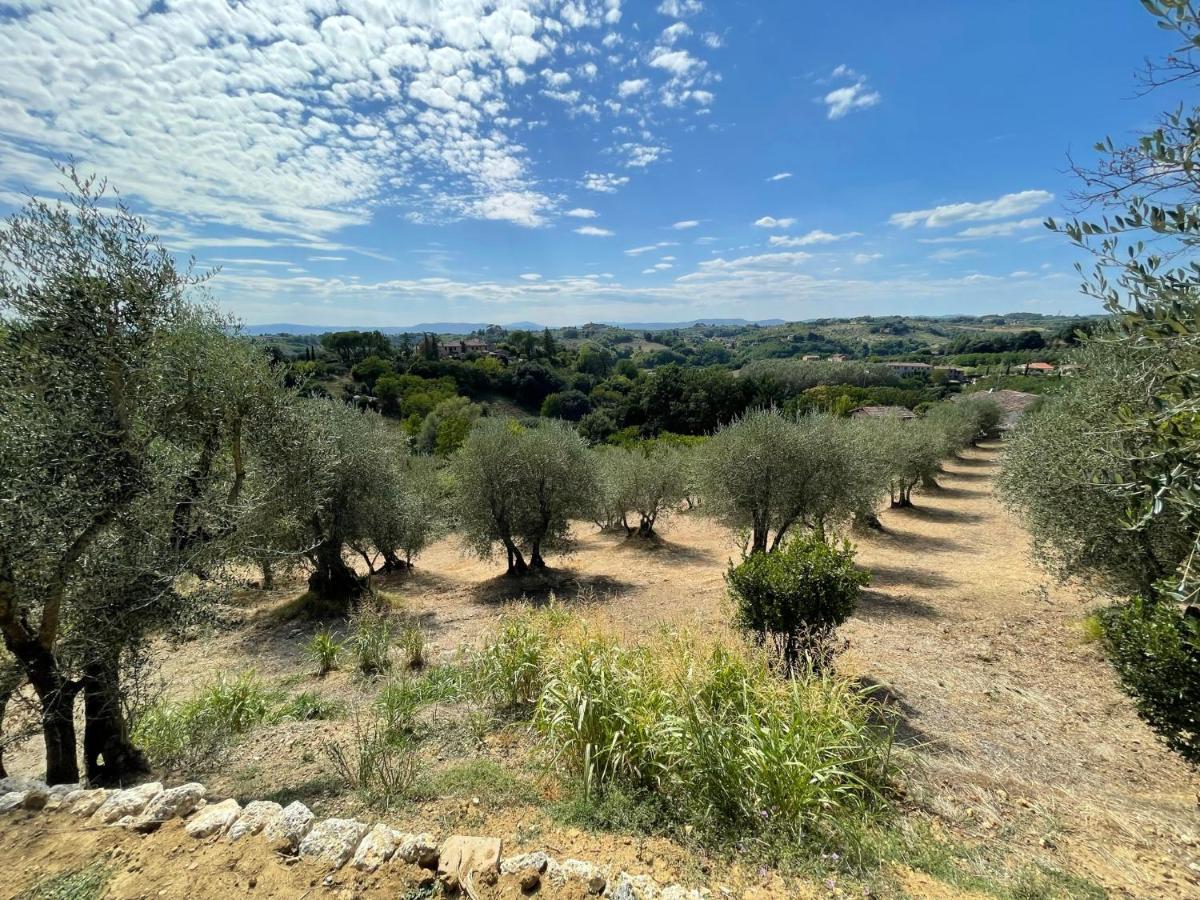 Oliveta Del Verde Appartamento Con Grande Giardino 500Mt Dal Centro Siena Buitenkant foto